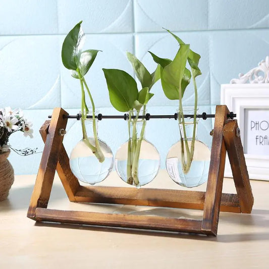 Jarrón de vidrio para terrarios de mesa, hidroponía, plantas