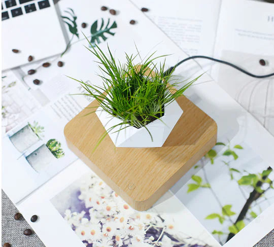 Floating Magnetic Flower Pot – Levitating Polygonal Planter