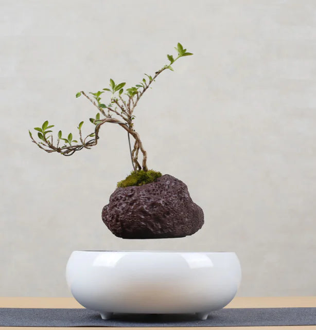 Floating Magnetic Flower Pot – Levitating Polygonal Planter