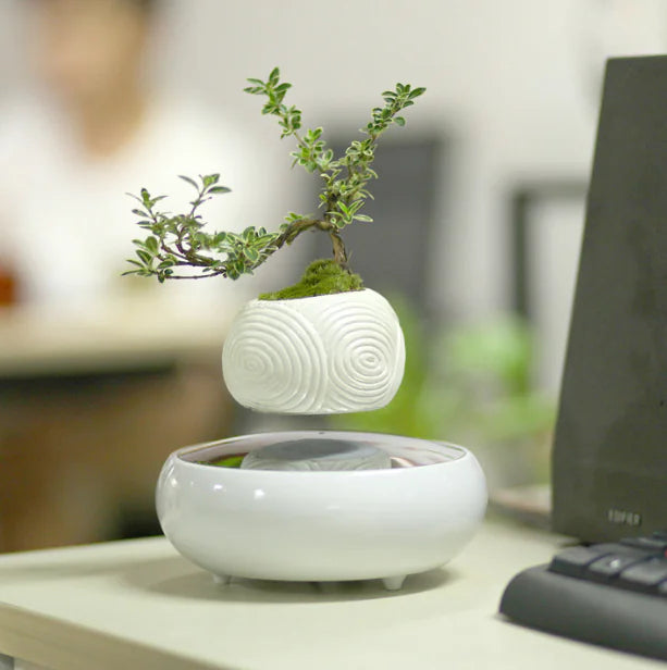 Floating Magnetic Flower Pot – Levitating Polygonal Planter
