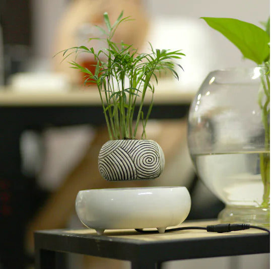 Floating Magnetic Flower Pot – Levitating Polygonal Planter