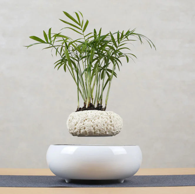 Floating Magnetic Flower Pot – Levitating Polygonal Planter