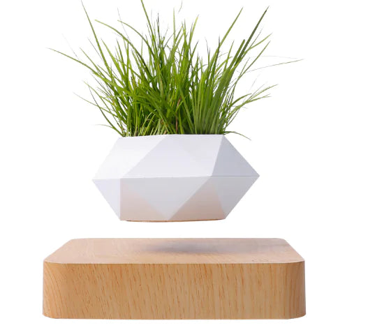 Floating Magnetic Flower Pot – Levitating Polygonal Planter