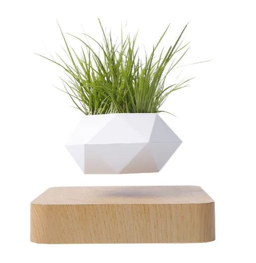 Floating Magnetic Flower Pot – Levitating Polygonal Planter