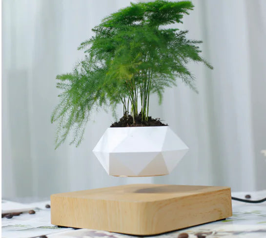 Floating Magnetic Flower Pot – Levitating Polygonal Planter