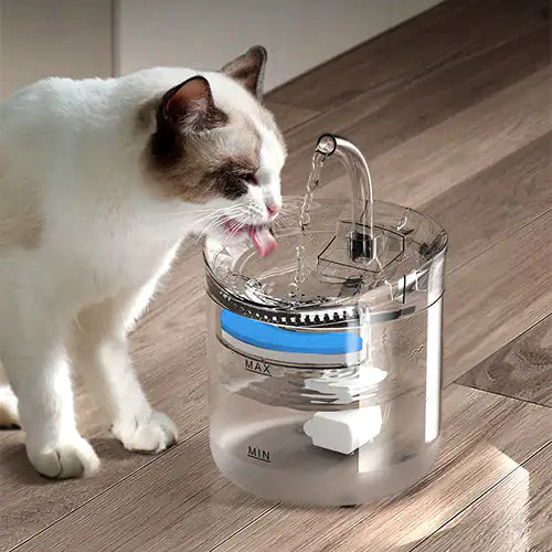Bebedero automático con filtro para mascotas