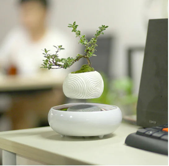 Floating Magnetic Flower Pot – Levitating Polygonal Planter
