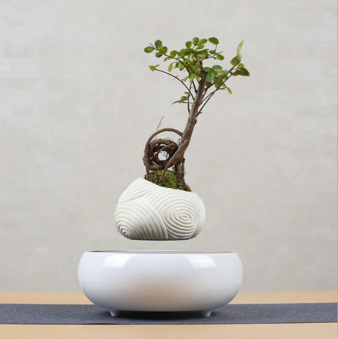 Floating Magnetic Flower Pot – Levitating Polygonal Planter