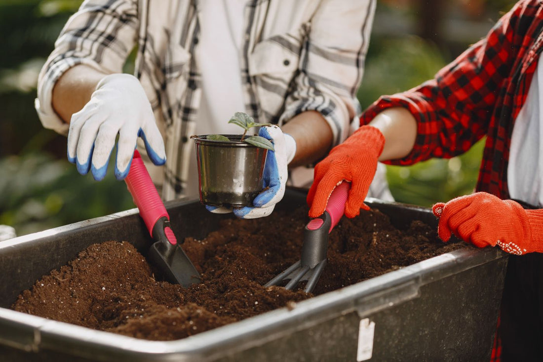 Garden Essentials: The Definitive Overview - Trendy Home Mart