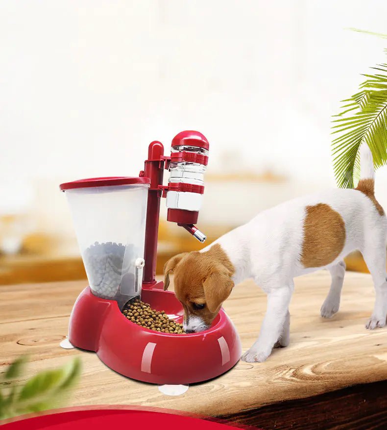 Automatic Pet Feeder & Water Dispenser – Dual Use (4 Colors) - Trendy Home Mart
