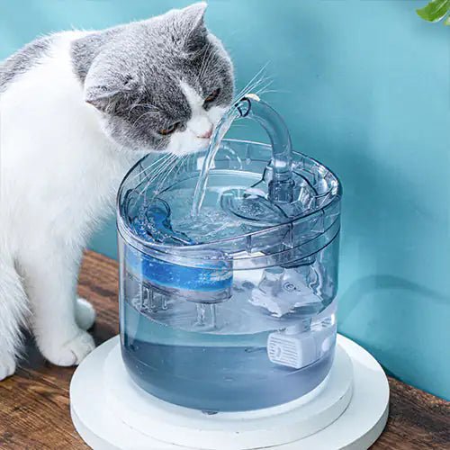 Drinking Bowl Auto Drinking Filter for Pets - Trendy Home Mart