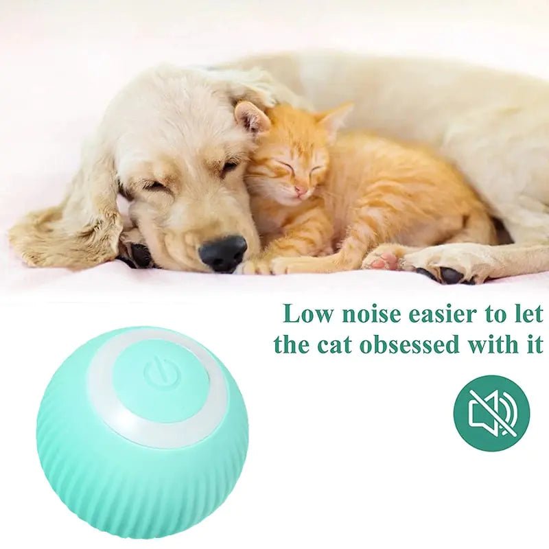 Electric Smart Ball Toys for Pets - Trendy Home Mart