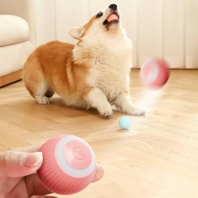 Electric Smart Ball Toys for Pets - Trendy Home Mart