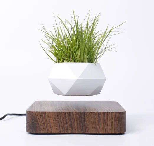 Floating Magnetic Flower Pot – Levitating Polygonal Planter - Trendy Home Mart