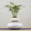 Floating Magnetic Flower Pot – Levitating Polygonal Planter - Trendy Home Mart