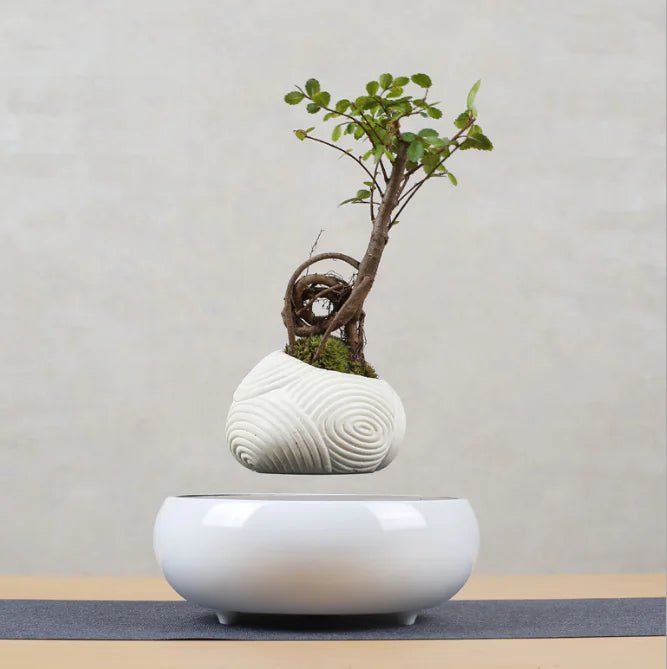 Floating Magnetic Flower Pot – Levitating Polygonal Planter - Trendy Home Mart