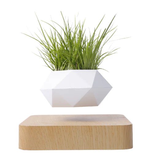Floating Magnetic Flower Pot – Levitating Polygonal Planter - Trendy Home Mart