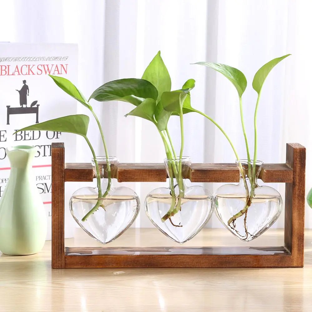 Glass Vase Tabletop Terrarium Hydroponics Plant Vases - Trendy Home Mart