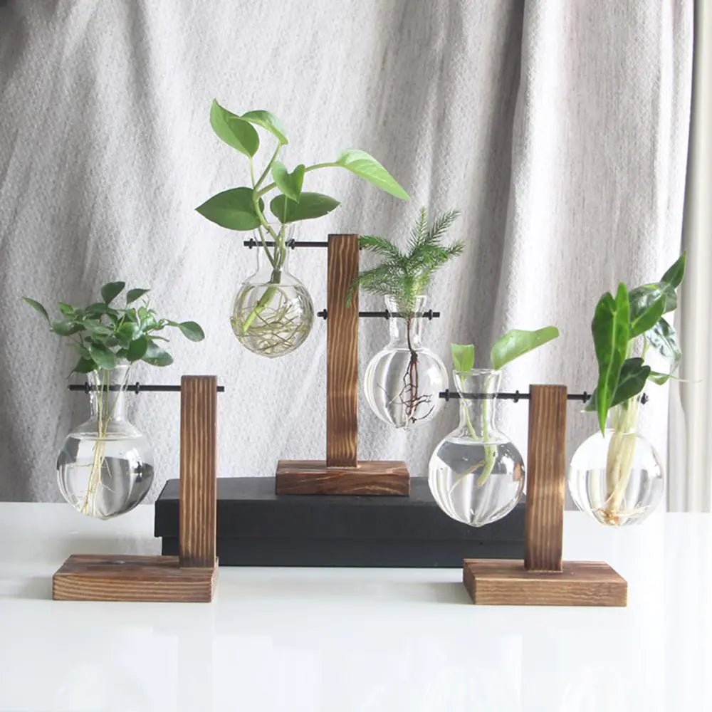 Glass Vase Tabletop Terrarium Hydroponics Plant Vases - Trendy Home Mart
