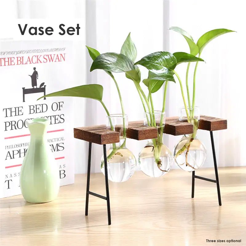 Glass Vase Tabletop Terrarium Hydroponics Plant Vases - Trendy Home Mart