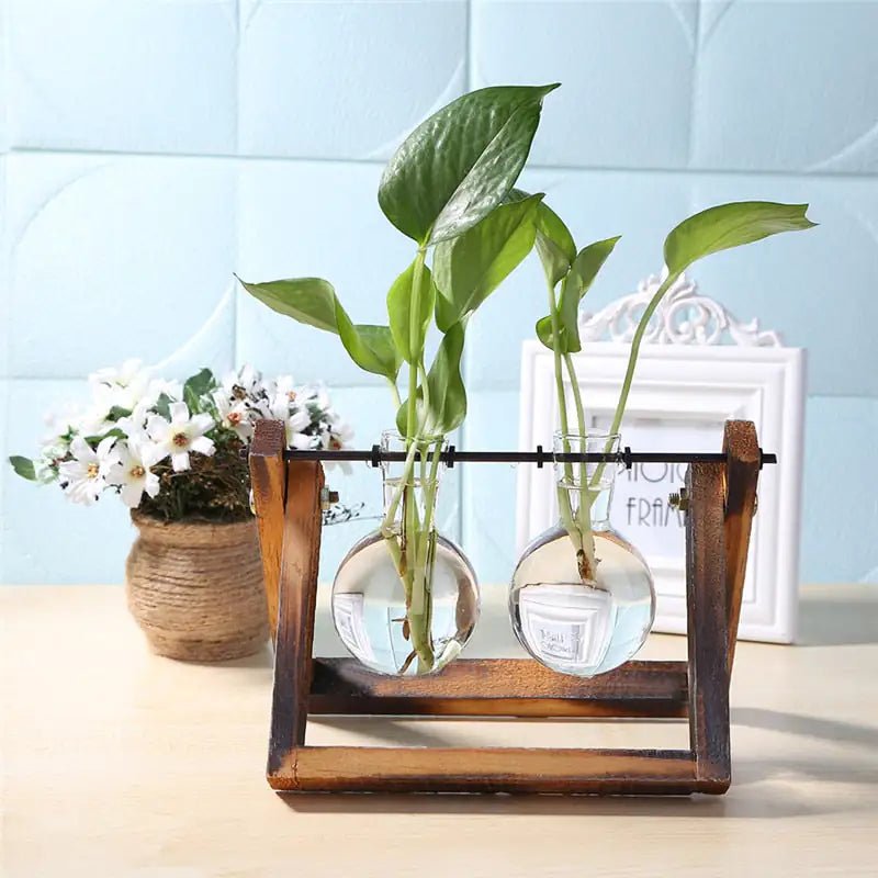 Glass Vase Tabletop Terrarium Hydroponics Plant Vases - Trendy Home Mart