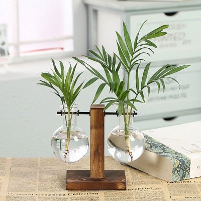 Hydroponic Transparent Plant Vases - Trendy Home Mart