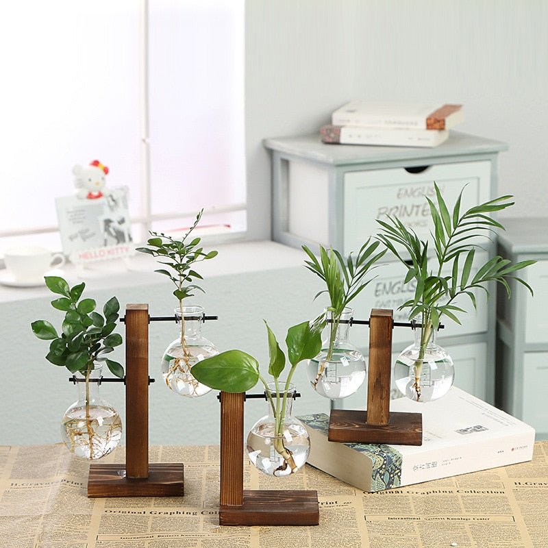 Hydroponic Transparent Plant Vases - Trendy Home Mart