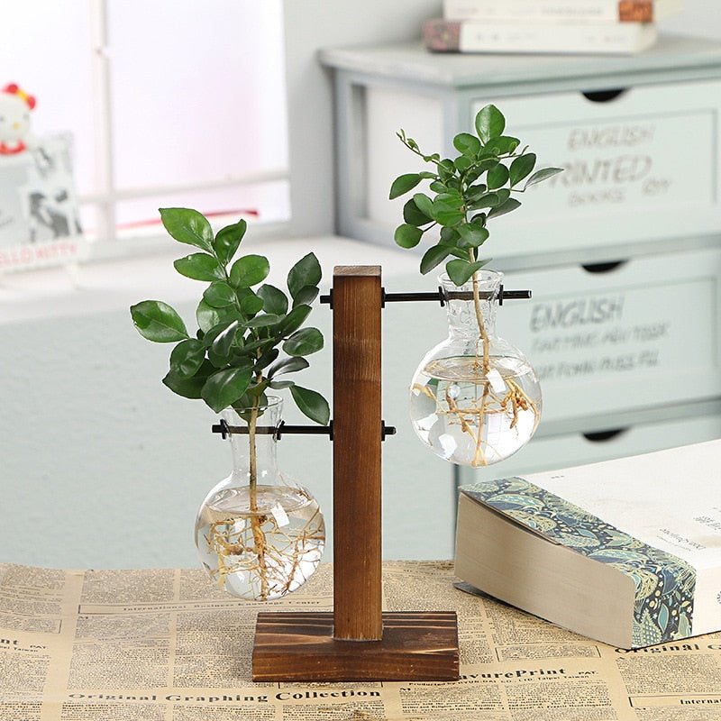 Hydroponic Transparent Plant Vases - Trendy Home Mart