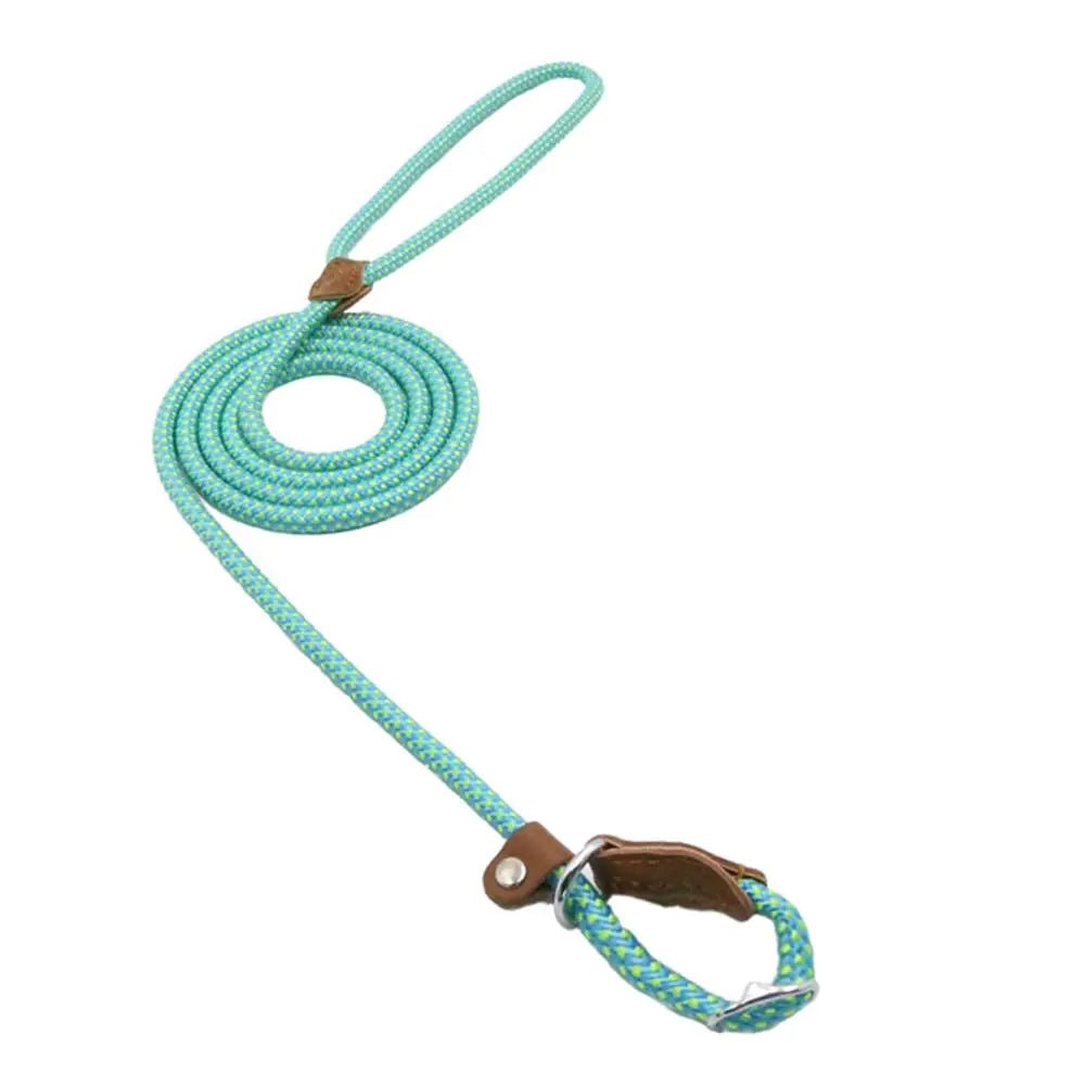Nylon Pup Set - Trendy Home Mart