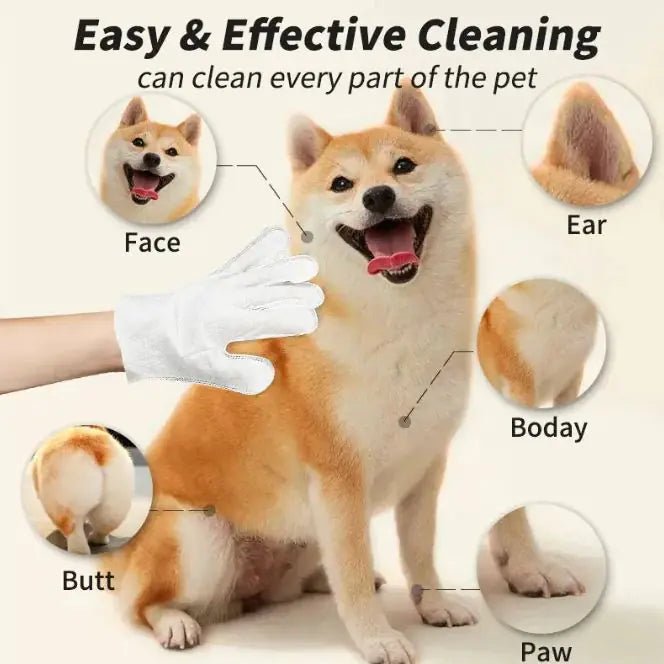 Pet Cleaning Gloves & Wipes - Trendy Home Mart