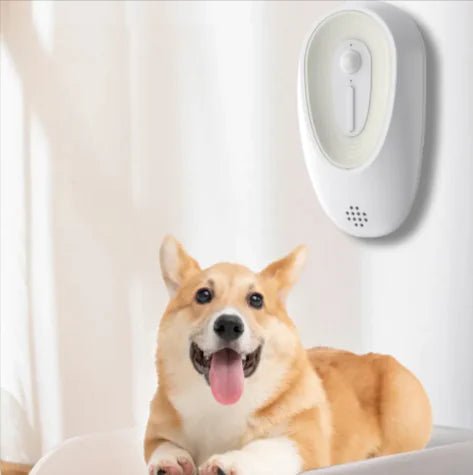 Pet Odor Eliminator for Litter Boxes - Trendy Home Mart