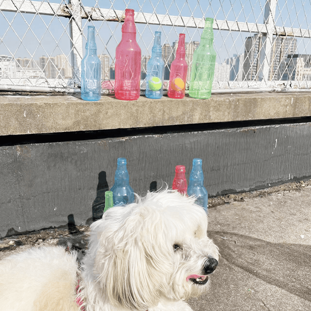 Pet TPR Tennis Bottle Toy - Trendy Home Mart