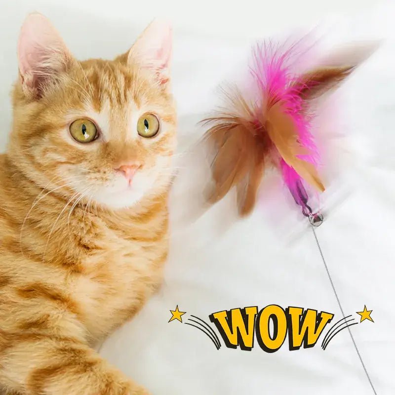 Pets Collar Kitten Playing Teaser Wand - Trendy Home Mart