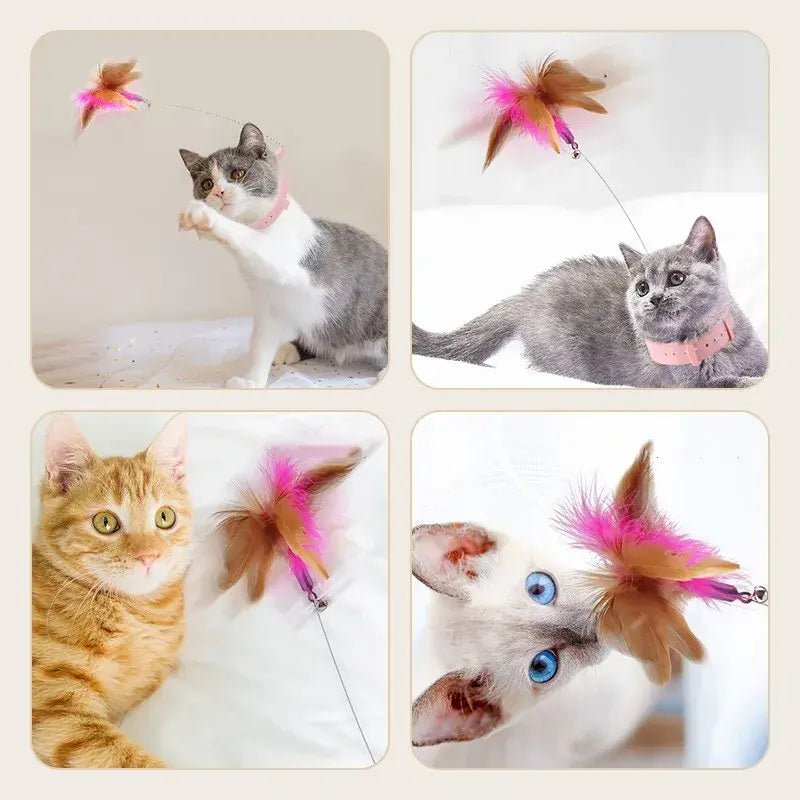 Pets Collar Kitten Playing Teaser Wand - Trendy Home Mart