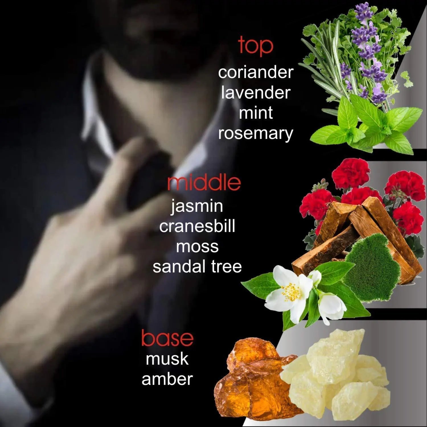 Pheromone Cologne for Men Pheromones Oil Perfume for Men 5ml Dropper 5ml Roller - Trendy Home Mart